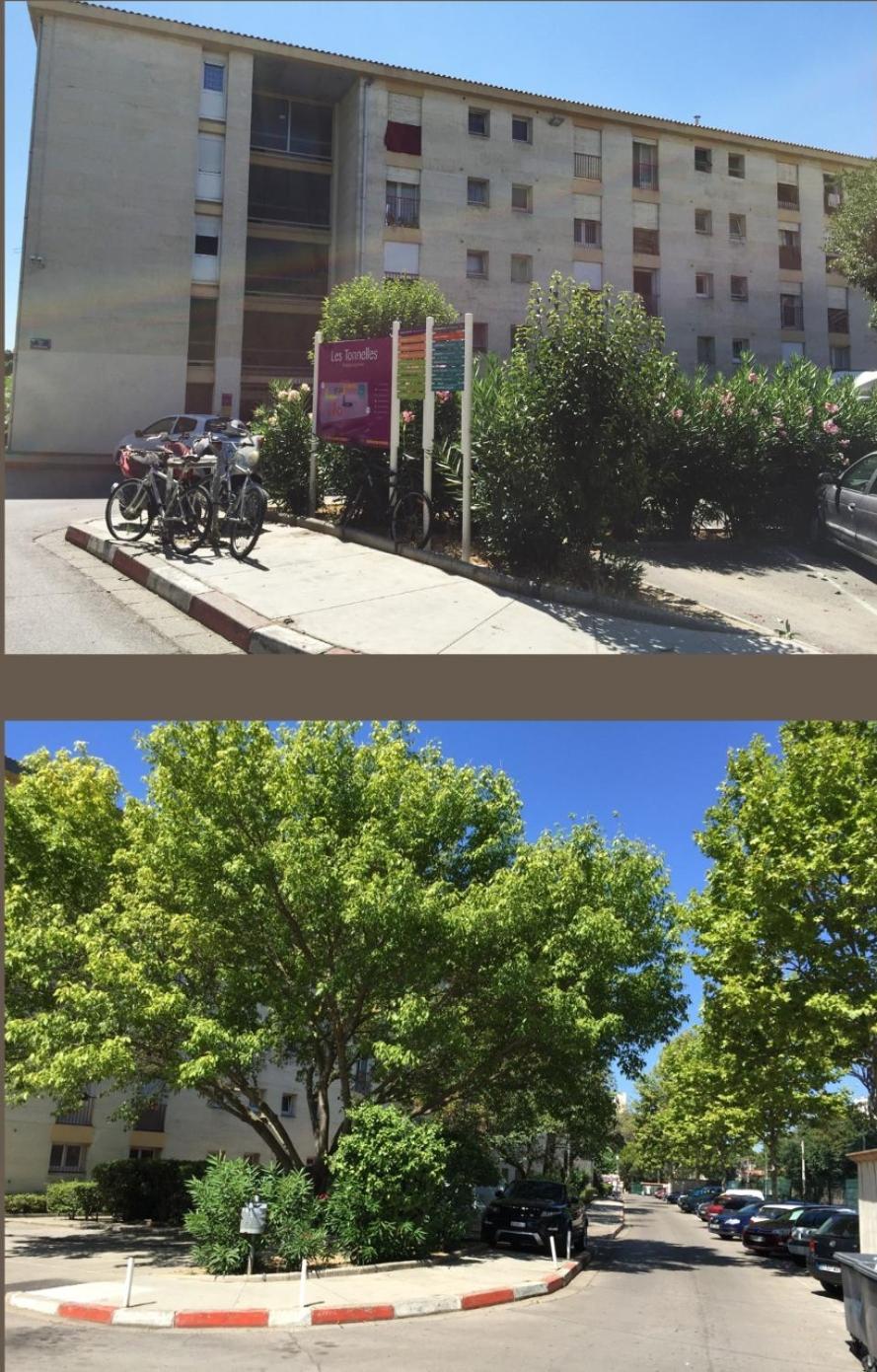Studio 50M Tram Parking Gratuit 13Min Gare Montpellier Dış mekan fotoğraf